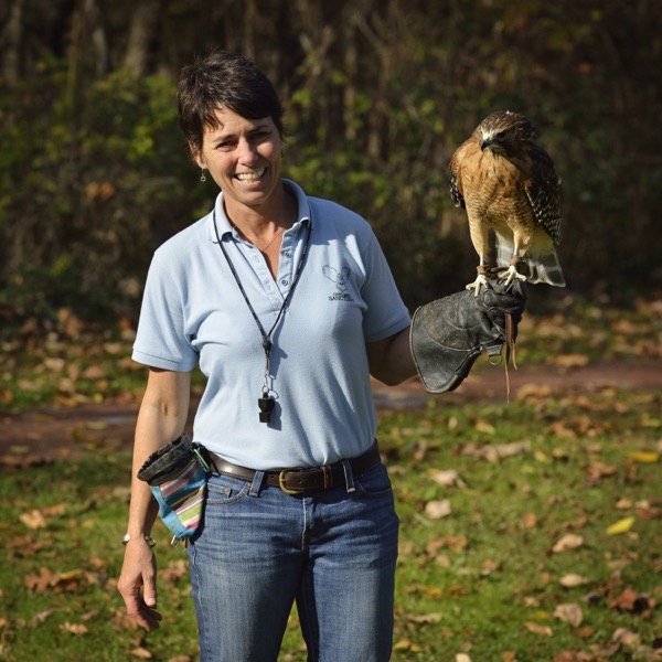 Gail Laux Ohio Bird Sanctuary