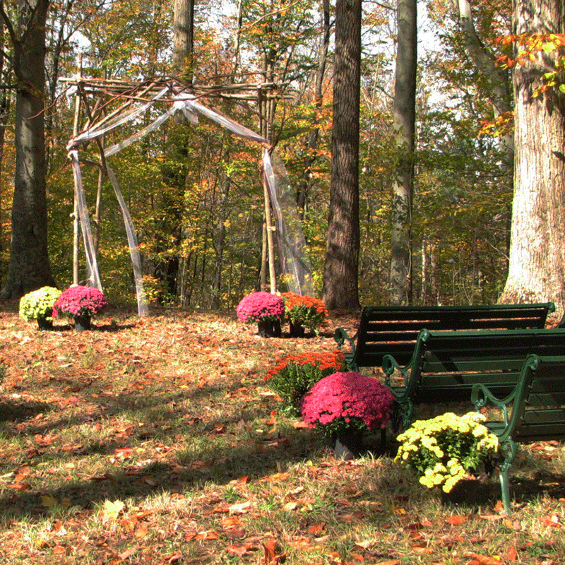 Wooded Natural Chapel at Ohio Bird Sanctuary