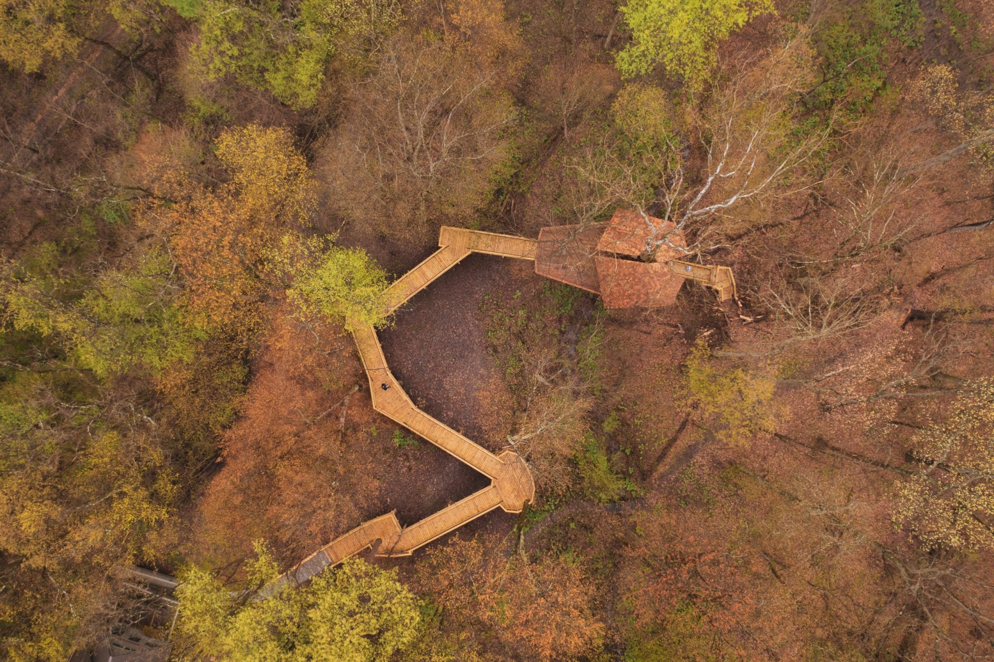 Tree House Overhead View